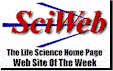 Web site of the week award! Feb 7 2000